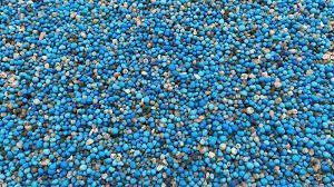 Fertilizer Treatments Services in Denver, NC
