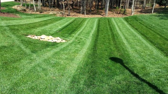 Lawn Treatments in Denver, NC