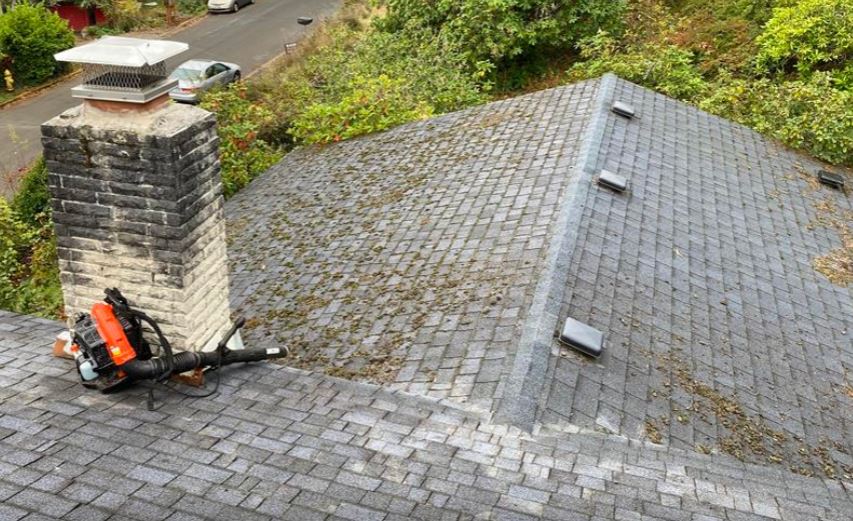 Eugene, OR Roof Cleaners