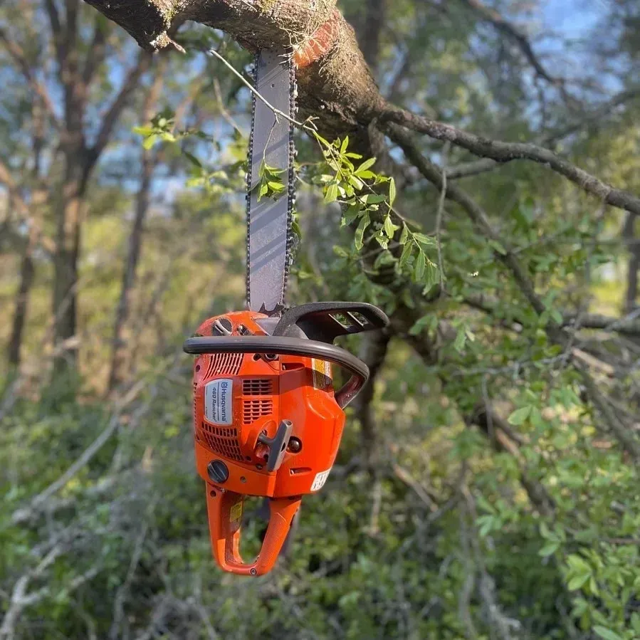 Orange chainsaw hanging from a tree branch in a wooded area.