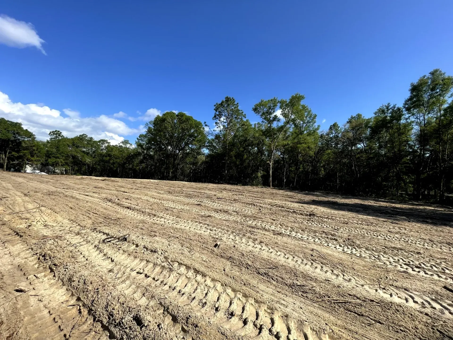 Recently cleared dirt field with tire tracks, bordered by green trees under a bright blue sky