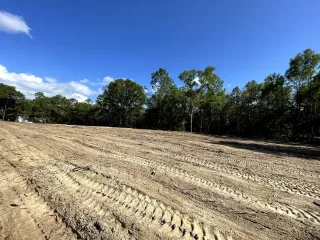 Recently plowed field under a clear blue sky, bordered by dense green trees