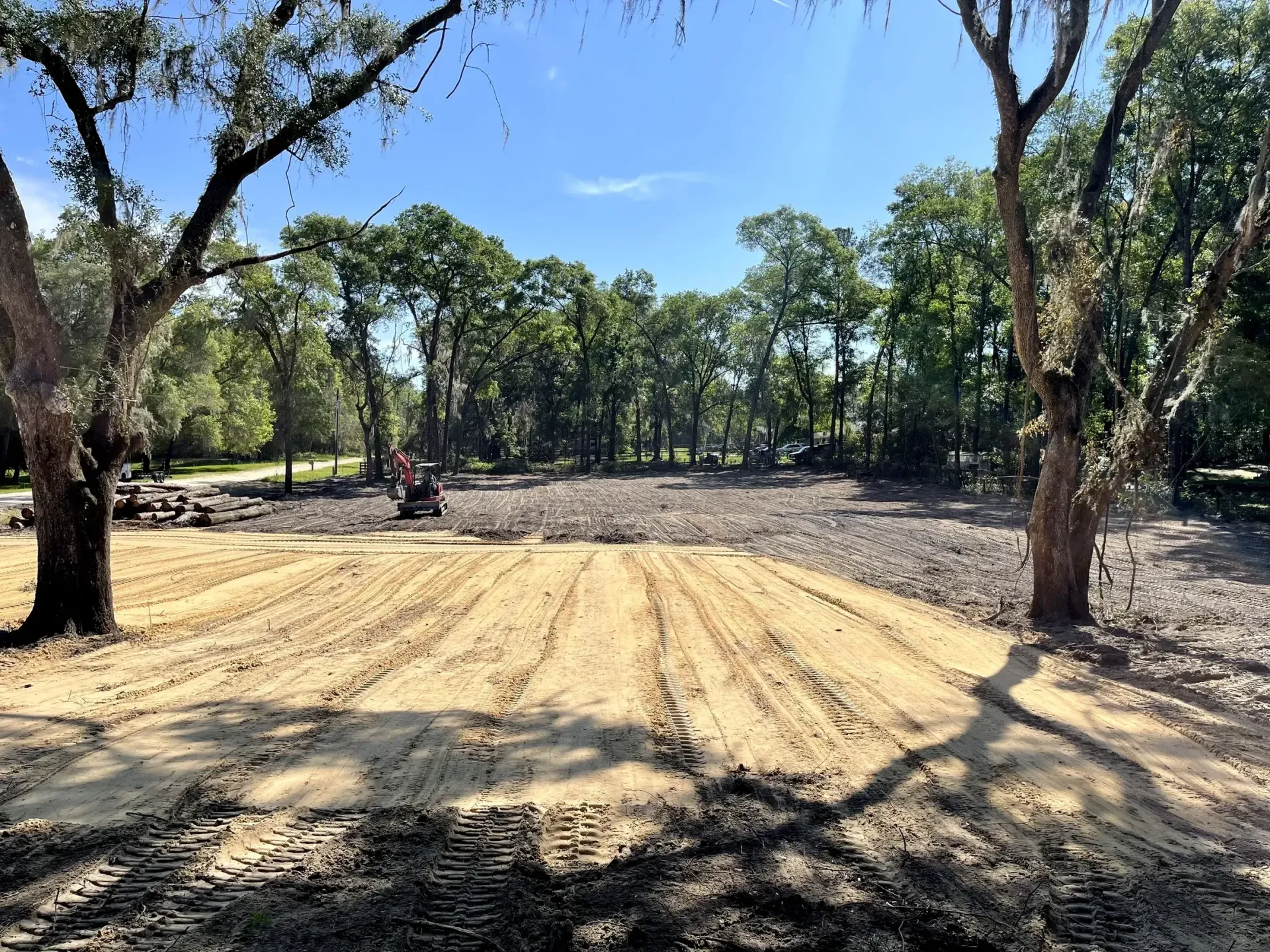 Dirt clearing in a wooded area with tall trees and bright sunlight, showing tire tracks across the ground.