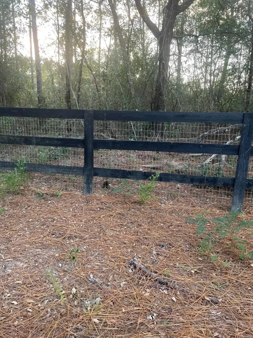 Black wooden fence along a leaf-covered path in a wooded area.