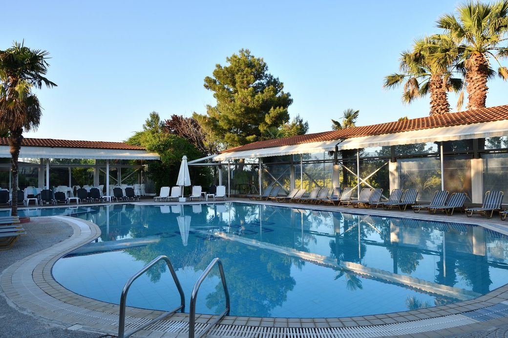 A large swimming pool with palm trees in the background