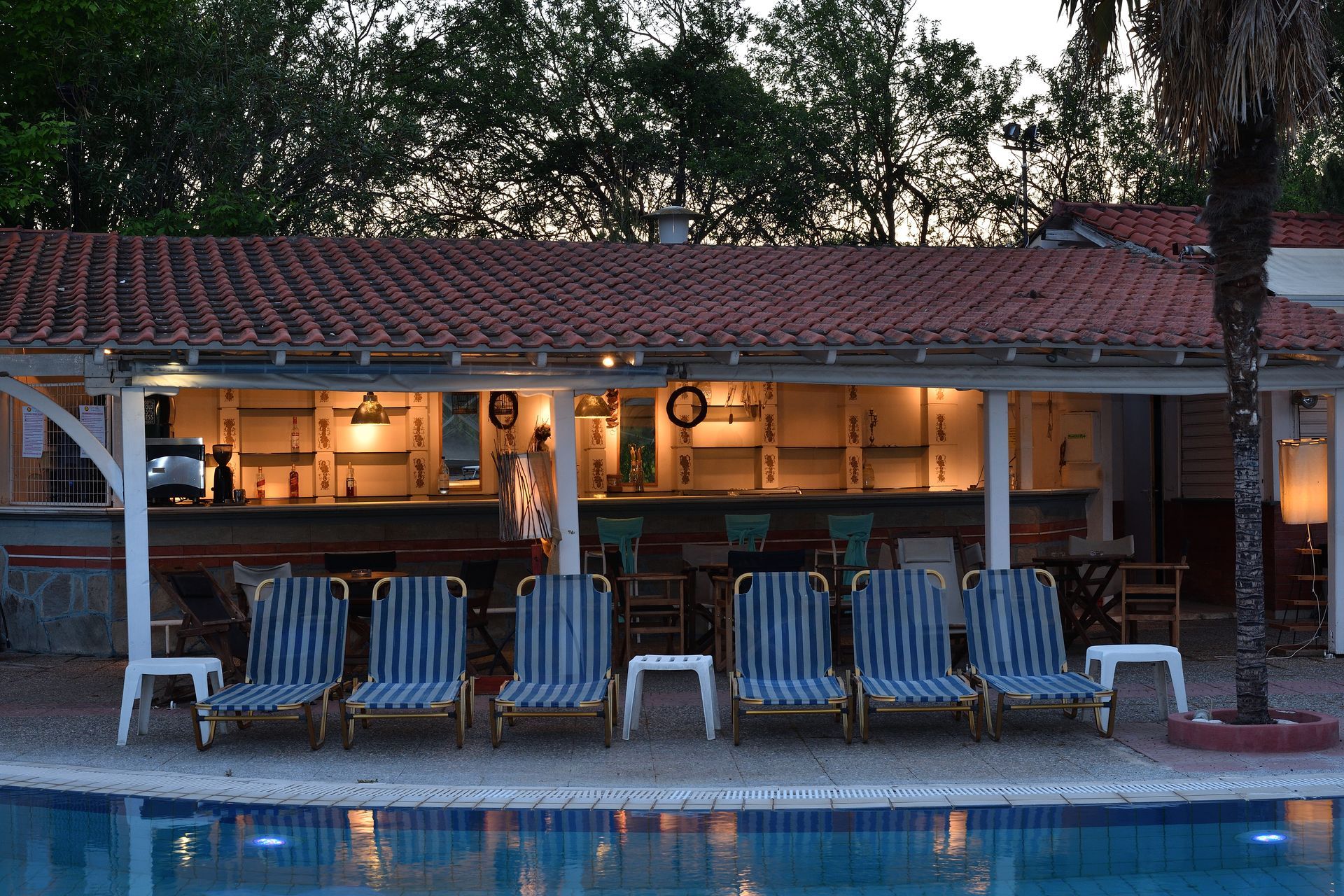 A row of chairs are lined up in front of a swimming pool