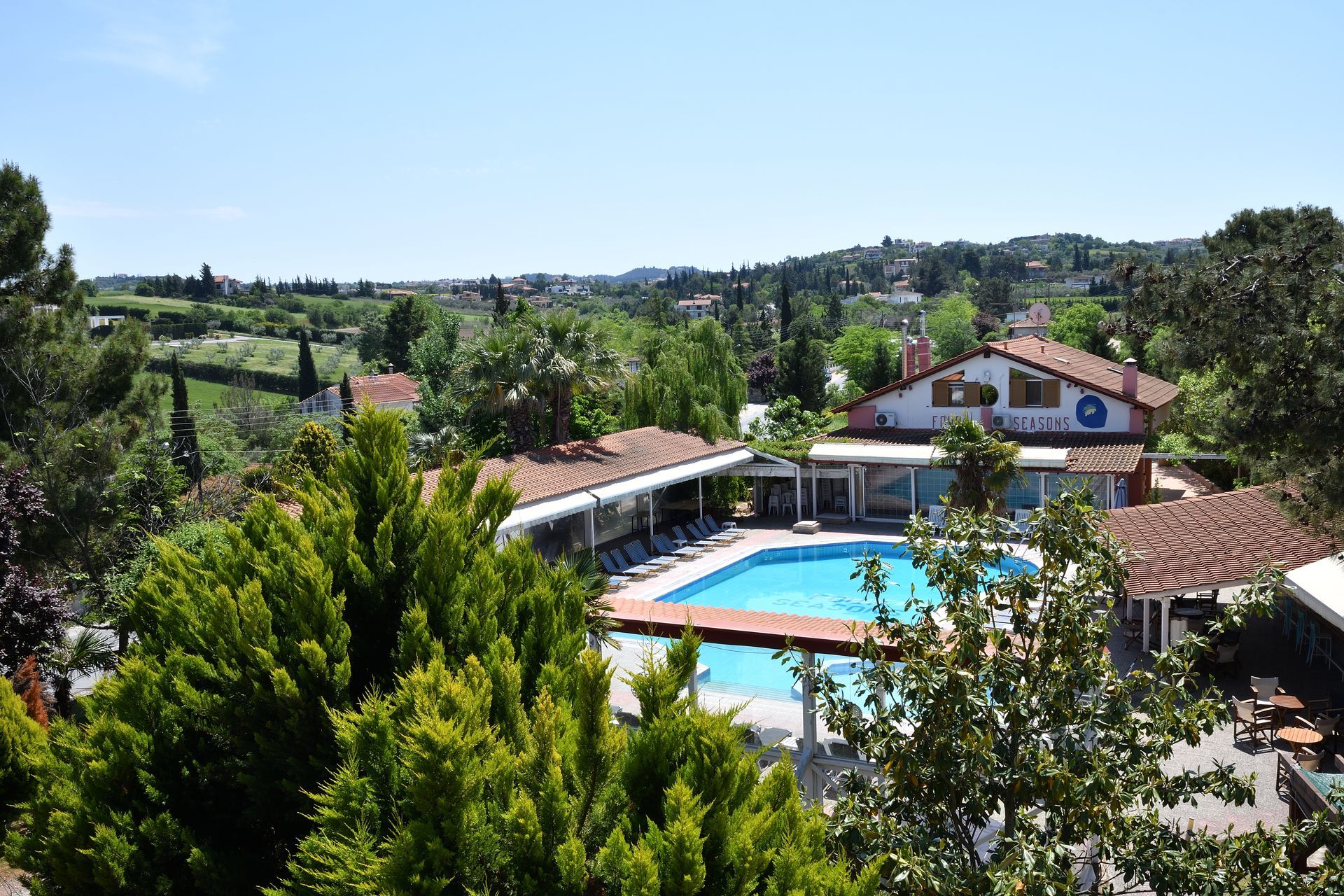 An aerial view of a swimming pool surrounded by trees