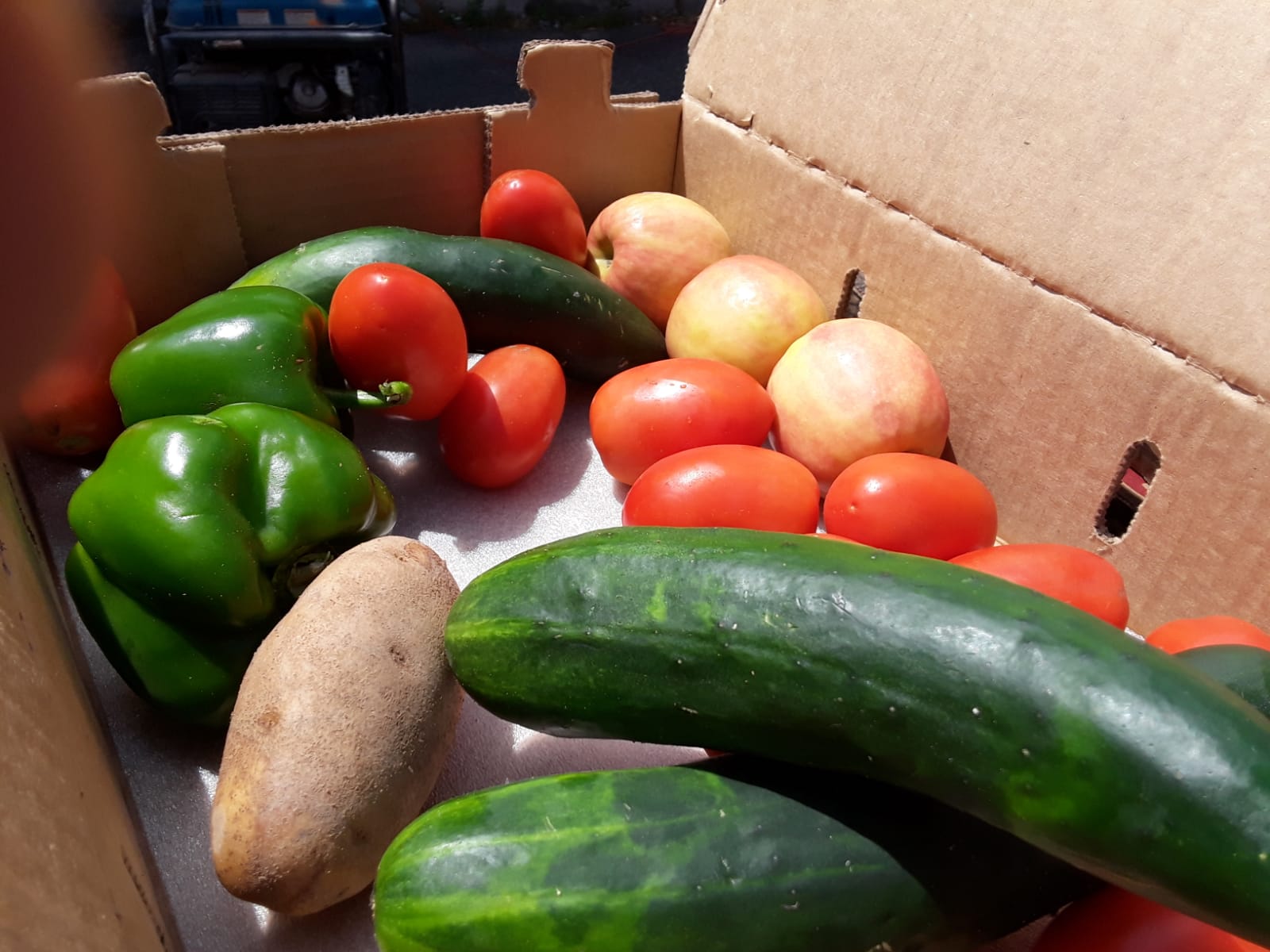 Box of fresh fruit and vegetables