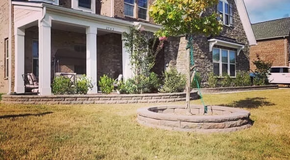 House with stone facade and porch, small tree in brick-ringed planter, and green grass.