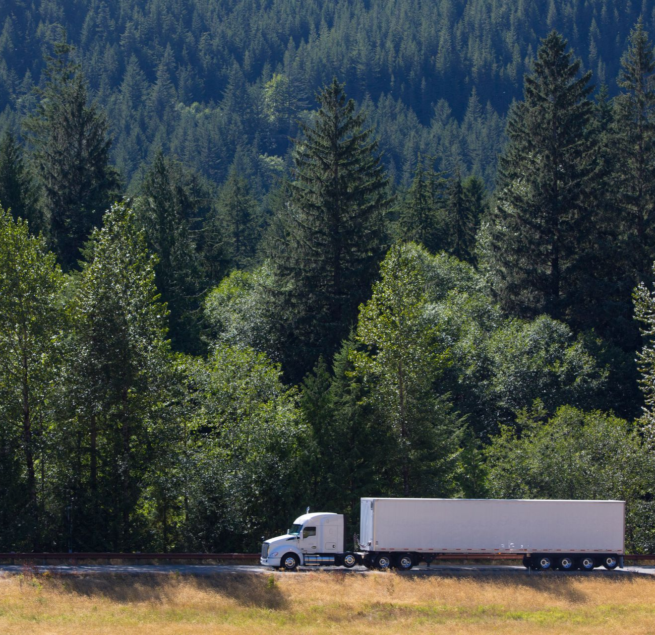 White semi-truck on a road, traveling in front of a lush green forest.
