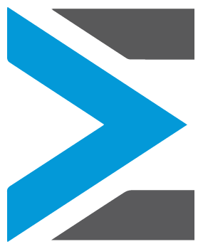 The EMBARK city transit  logo is a large letter E that is in black and blue. The blue looks like an aarow going forward to the right. 