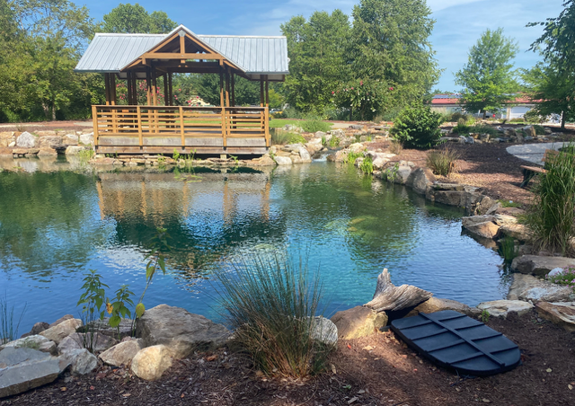 Wooden gazebo by a calm pond with rocks, grasses, and trees on a sunny day