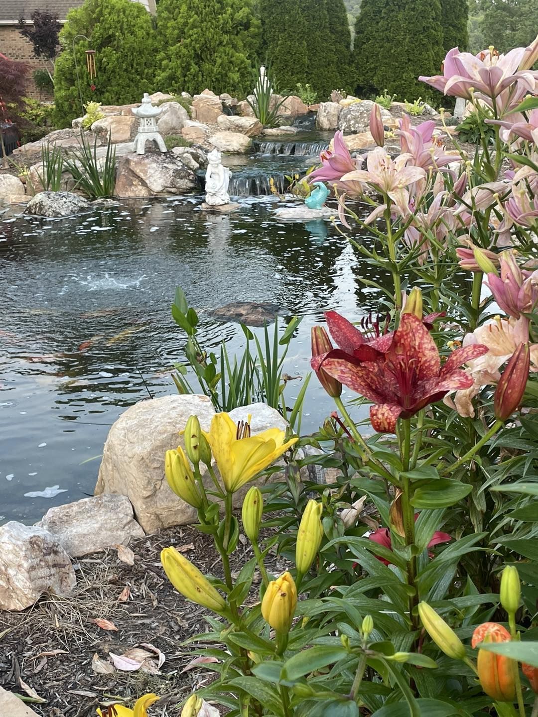 Flowering plants beside a pond with a small waterfall and rocks in a garden.