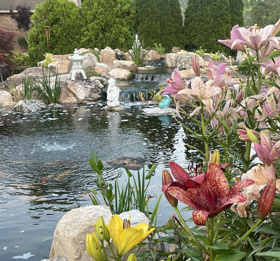 Garden pond with white fountain and colorful pink, red, and yellow flowers in bloom