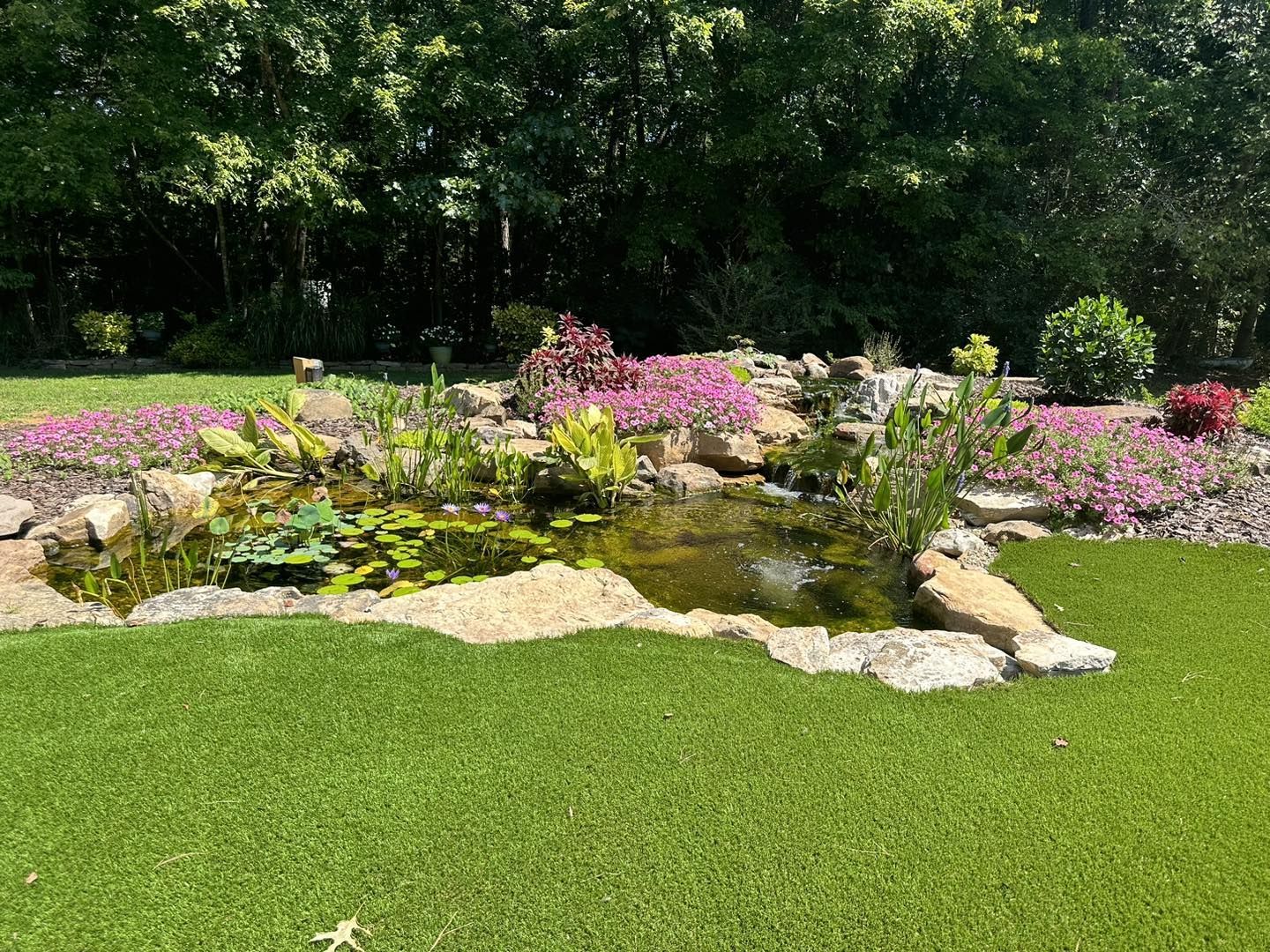 Garden pond with pink flowers, rocks, and lush green grass under trees
