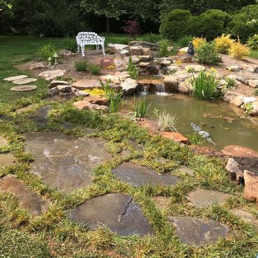 Garden pond with stone path, yellow flowers, and a white bench amid lush greenery