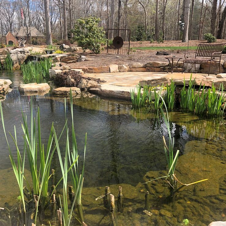 Backyard pond with clear water, tall reeds, rocks, and patio furniture in a wooded garden.
