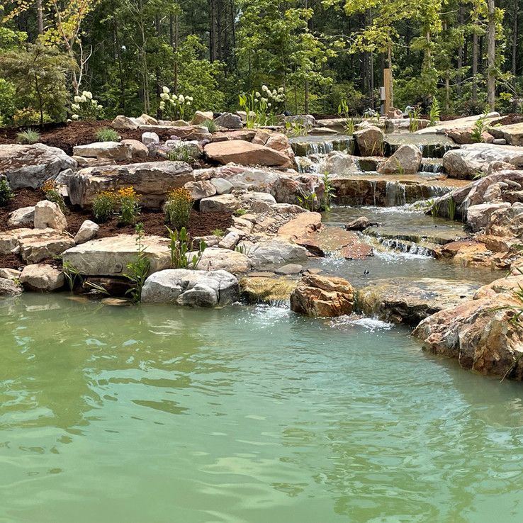 Rocky stream waterfall flowing into a green pool surrounded by dense forest.
