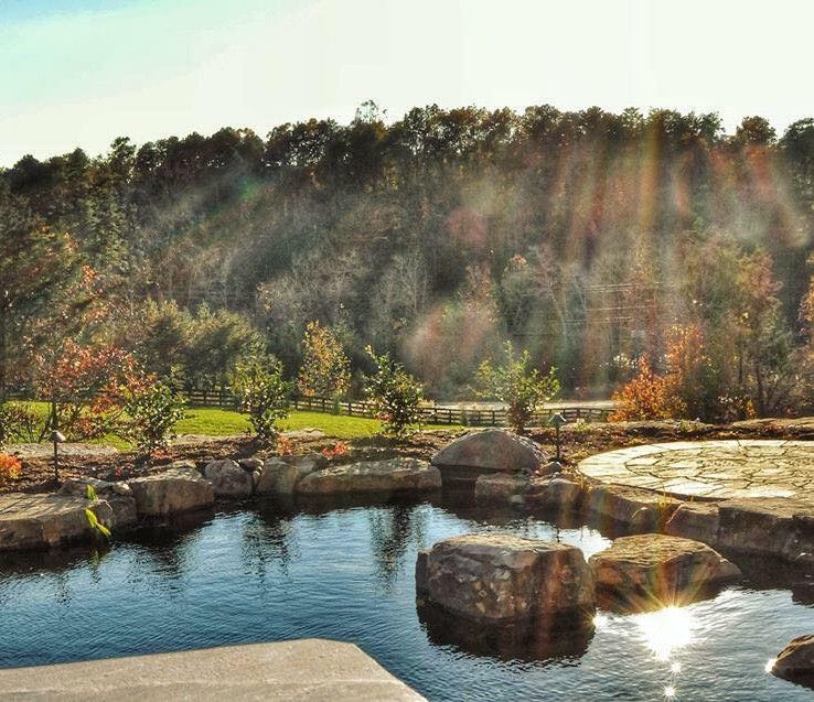 Sunlit garden pond with rocks, trees, and bright reflections on the water
