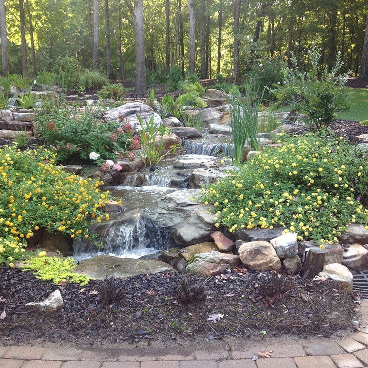 Rock garden waterfall with cascading water, yellow flowers, and tall trees in a wooded landscape