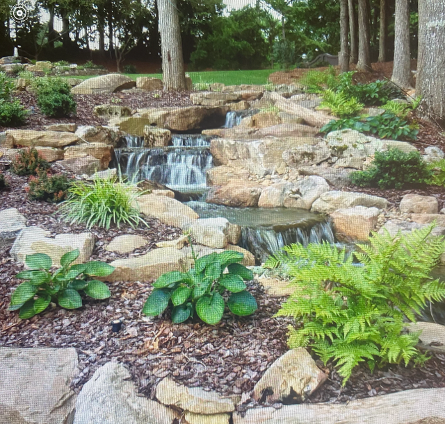 Tiered stone waterfall in a landscaped garden with ferns, hostas, and trees.
