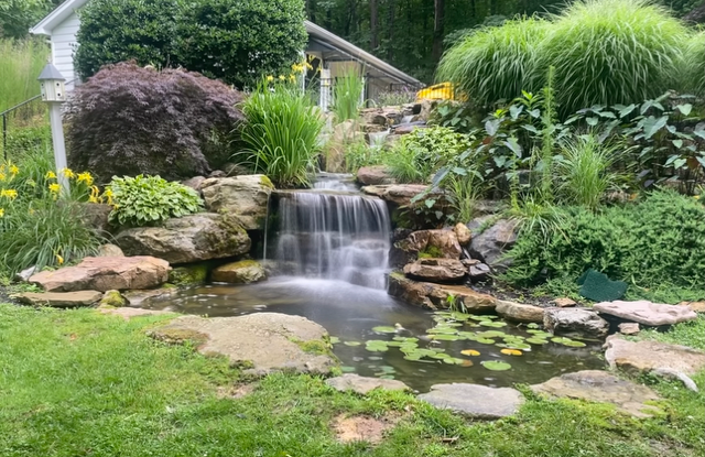 Backyard waterfall flowing into a small pond, surrounded by lush green shrubs and rocks.