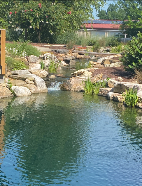 Rocky waterfall and pond with blue water, surrounded by greenery under a bright sky