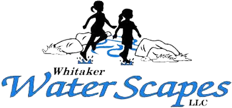 Whitaker Waterscapes logo with two silhouetted children on rocks over stylized blue water and fish