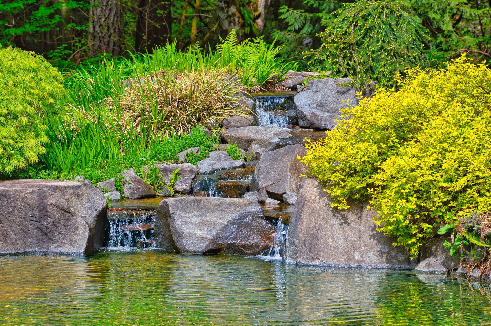 Rock garden with small cascading waterfall, gray stones, lush green shrubs, and bright yellow flowers by a pond