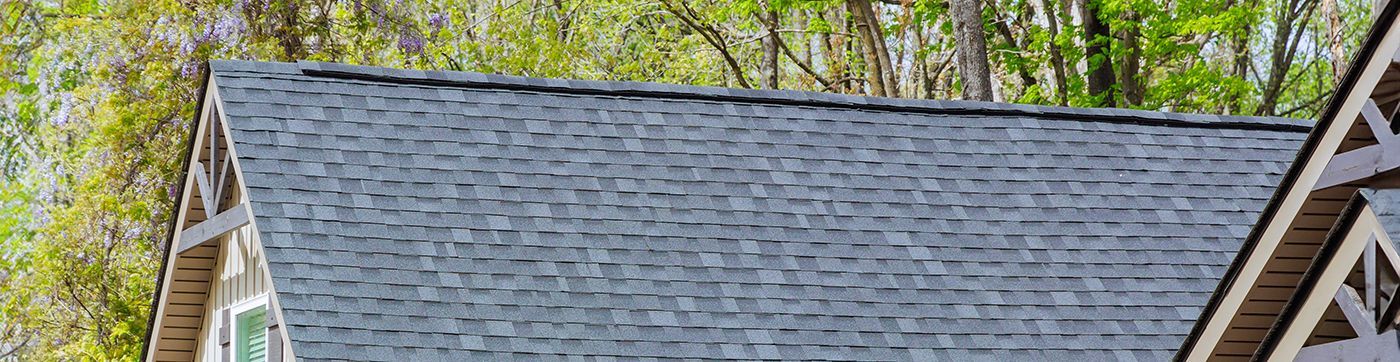 Roof of a building with gray shingles, trees in the background.