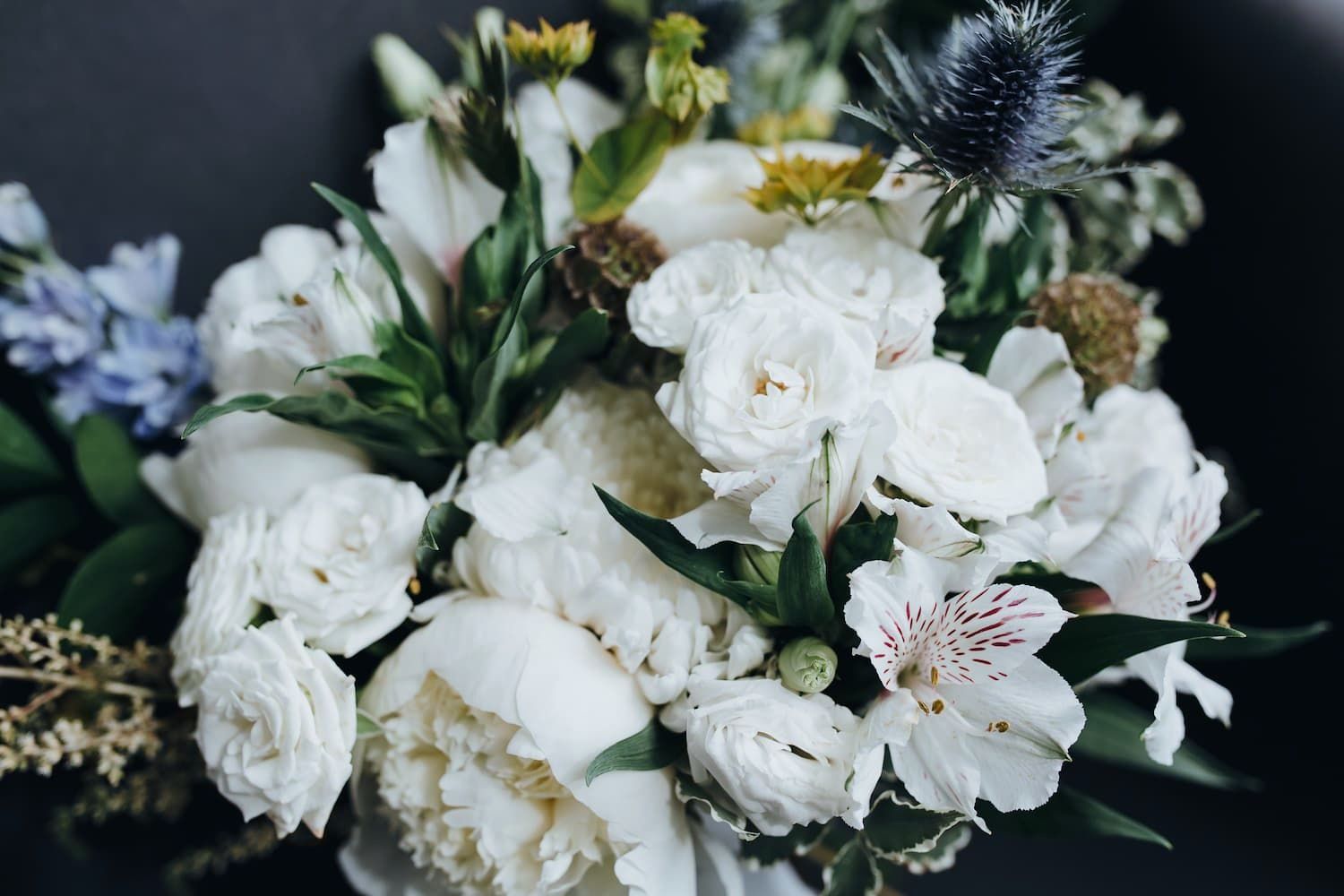 Minnehaha Funeral Home & Cremation Services