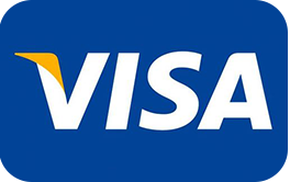 Visa logo: White