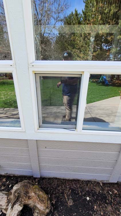 White window frame, light siding, and a tree trunk visible.