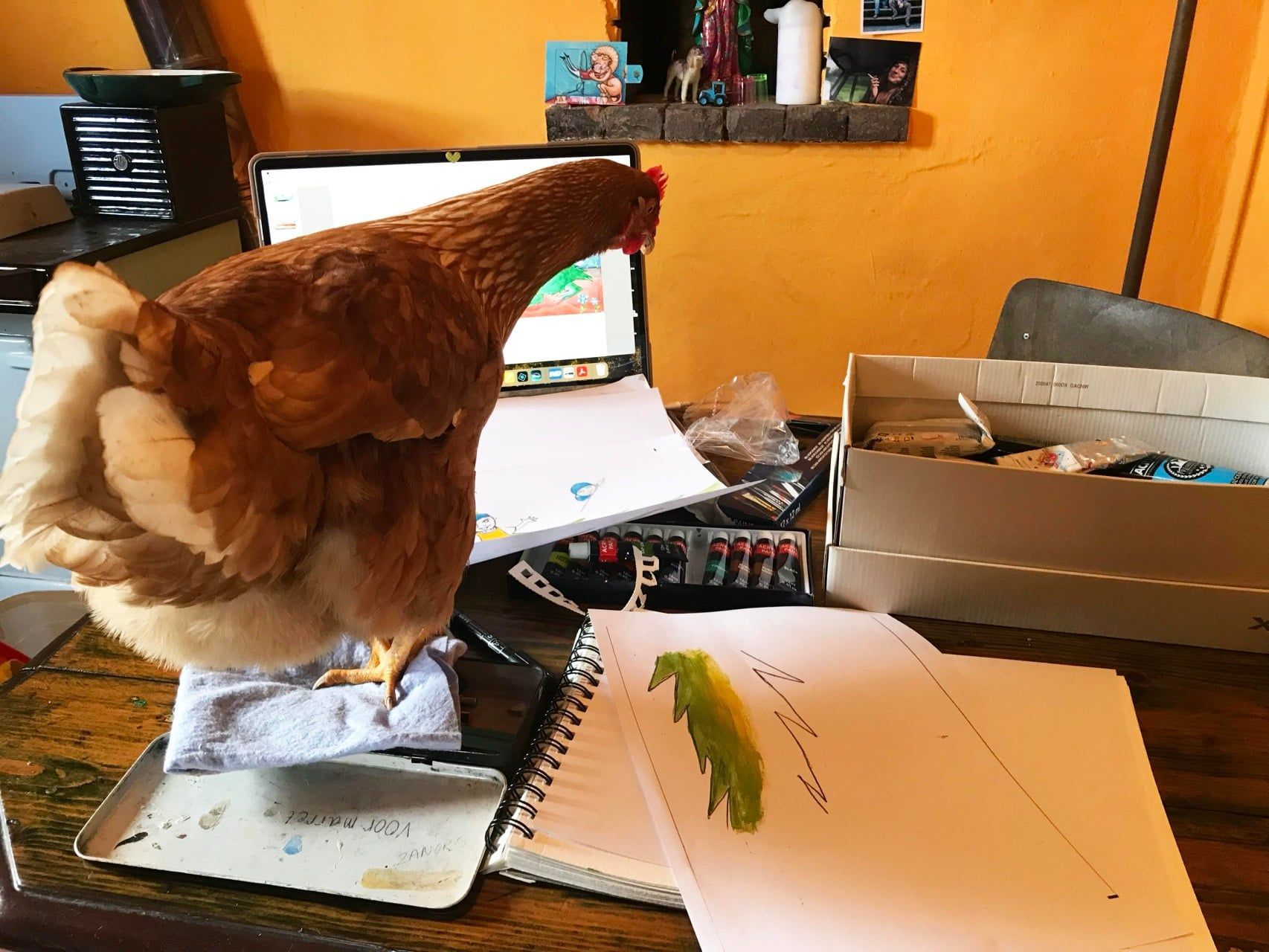 Een bruine kip staat op een rommelig bureau naast een notitieboekje en dozen in een oranje kamer.