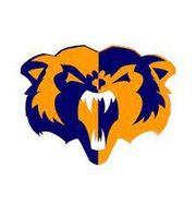 Woodstown High School Football Logo