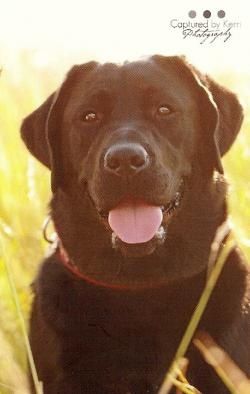 Saturday is Picture Day