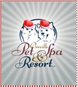 Christmas Animal Shelter Donation List