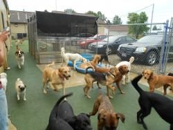 Daycare Party Pictures