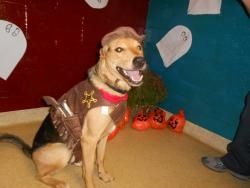 Halloween Daycare Party