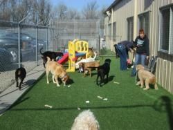 Easter Daycare Party