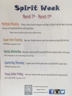 Spirit Week at Doggy Daycare