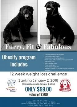 Furry, Fit & Fabulous