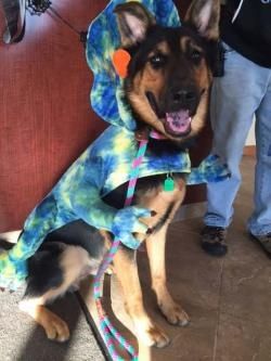 Monster Bash Daycare Party