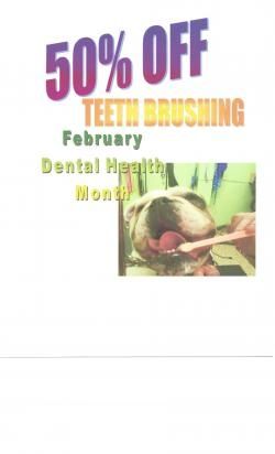 February Dental Health Month