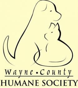 Christmas Animal Shelter Donation List