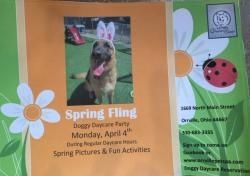 Spring Fling Daycare Party