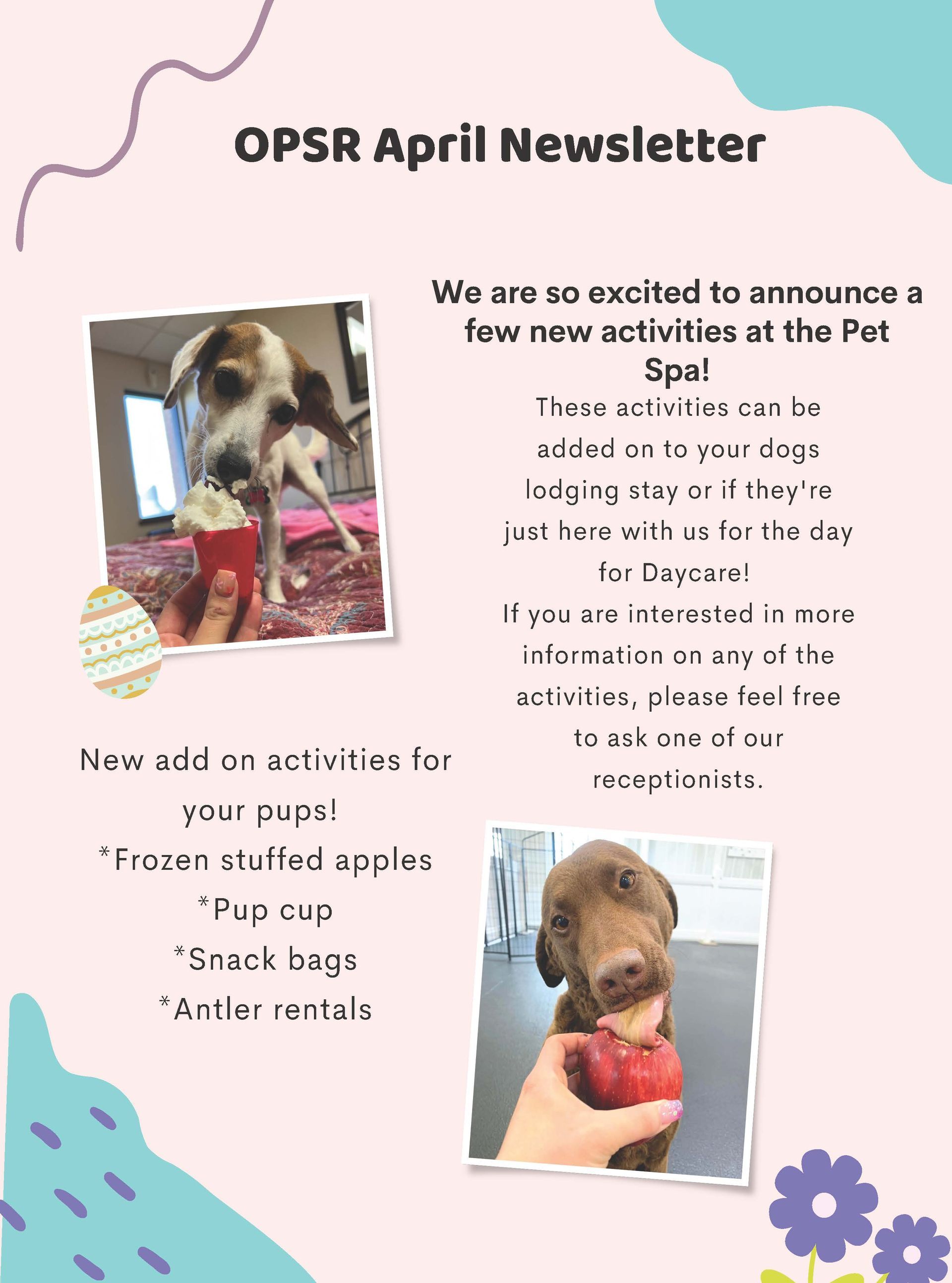 Newsletter with photos of dogs; announces new activities at the Pat Spot: frozen treats, apples, treat bags, and more.