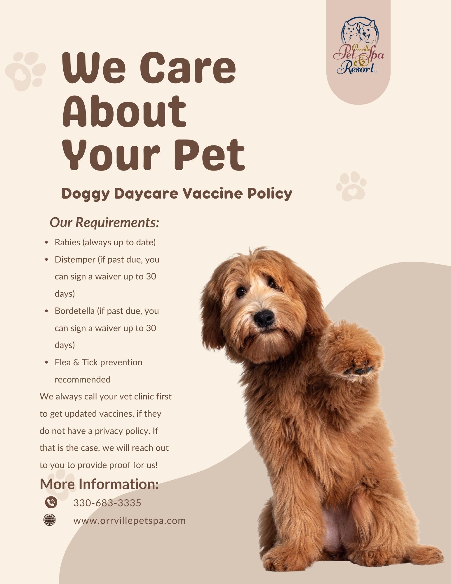 Flyer for doggy daycare: brown dog with vaccine policy information.