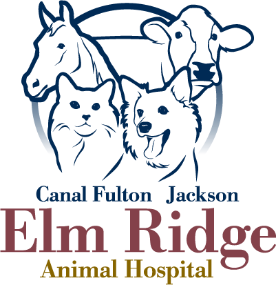 Logo for Elm Ridge Animal Hospital, featuring a horse, cow, cat, and dog, in a circular frame; text below reads