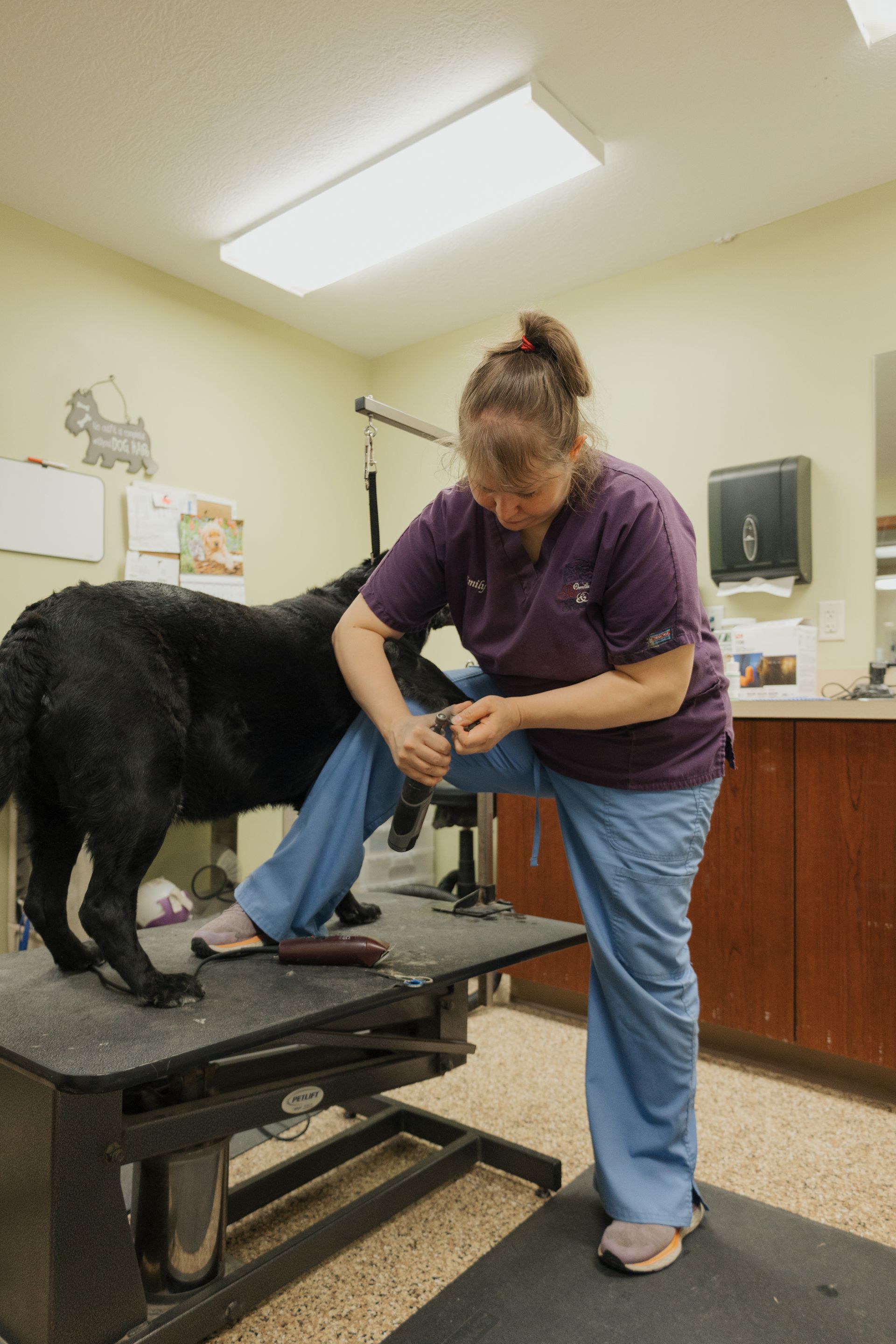 A woman in blue scrubs trims a black dog's nails on a grooming table in a brightly lit room.